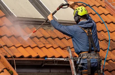 Démoussage et hydrofuge de toiture à Laàs
